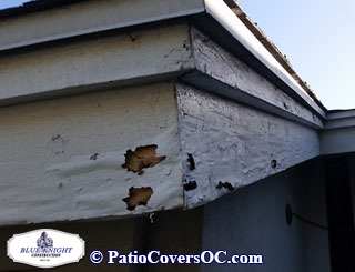 Dry Rot Repair Mission Viejo with Blue Knight .
